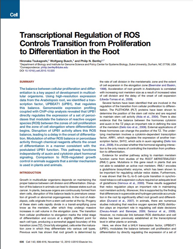 2010 Transcriptional Regulation of ROS Controls Transition from Proliferation to Differentiation in the Root